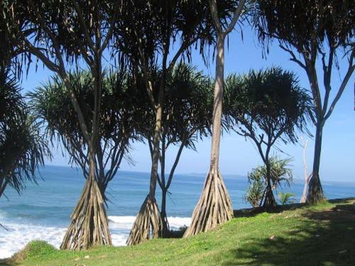 Bk Homestay, Batukaras 外观 照片